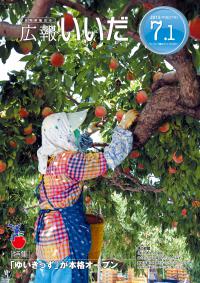桃の収穫作業の様子