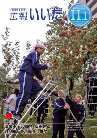 りんごの収穫作業をする中学生