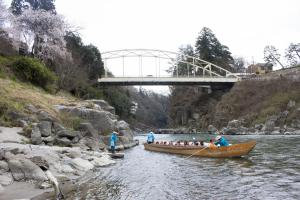 天龍峡桜祭り