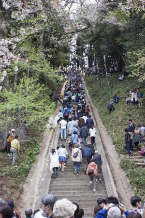 御柱祭り