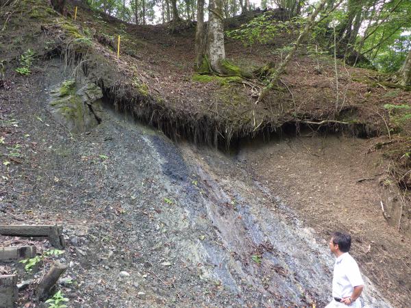 程野露頭