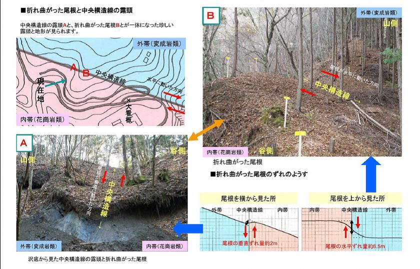 程野露頭概要