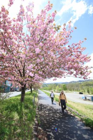 天竜川沿いからの眺め