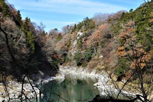 龍東道