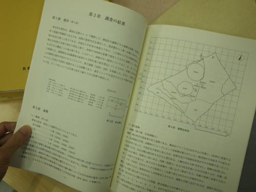 報告書のページ