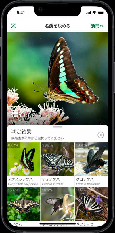 ＡＩ判定写真