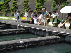 妙琴浄水場見学写真③