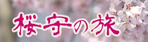 飯田市　桜パンフレット　桜守の旅