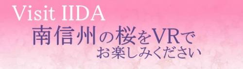 飯田市　桜情報　VR
