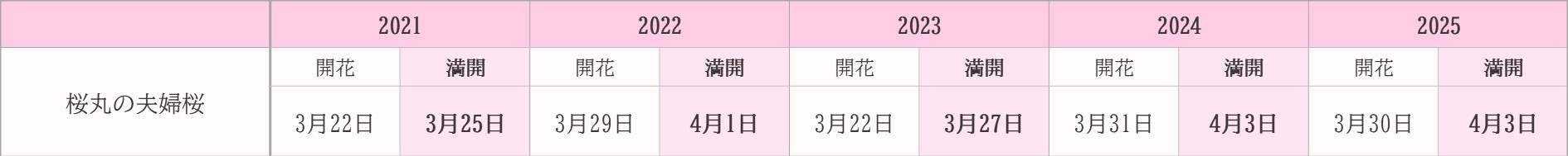 飯田市桜　過去5年開花状況　桜丸の夫婦桜
