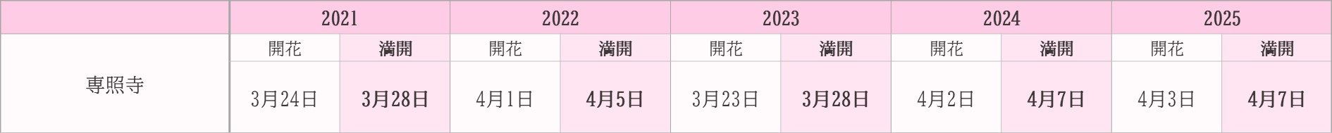 飯田市桜　過去5年開花状況　専照寺