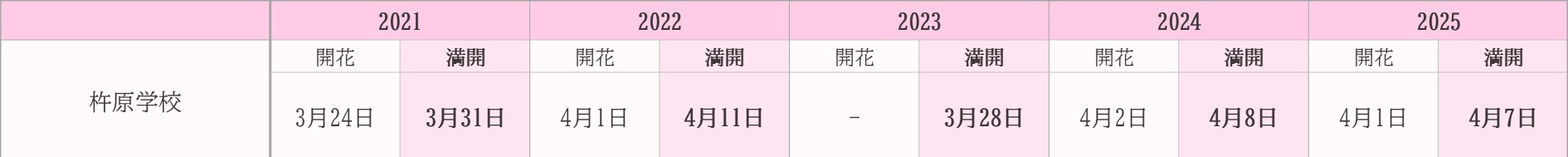 飯田市桜　過去5年開花状況　杵原学校