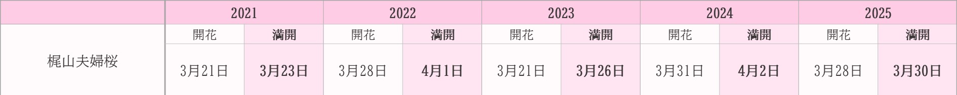飯田市桜　過去5年開花状況　梶山夫婦桜