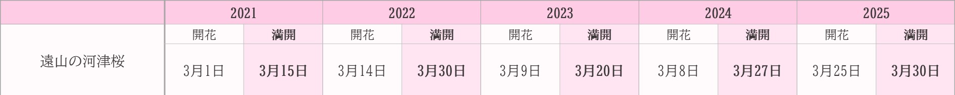 飯田市桜　過去5年開花状況　遠山河津桜