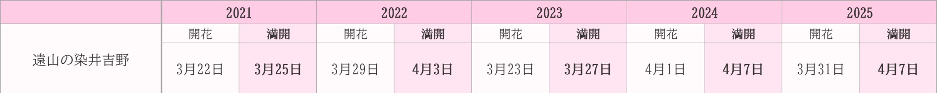 飯田市桜　過去5年開花状況　遠山ソメイヨシノ