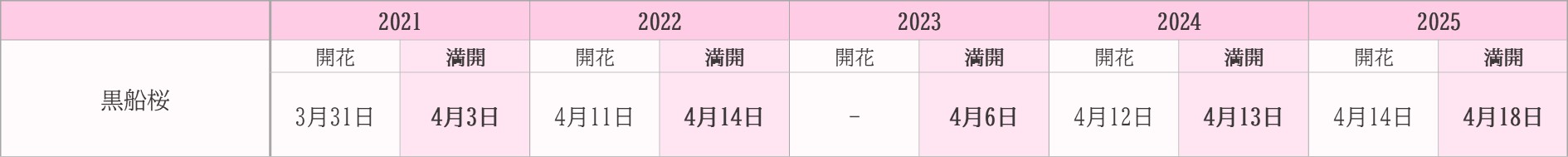 飯田市桜　過去5年開花状況　黒船桜