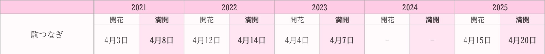 飯田市桜　過去5年開花状況　駒づなぎ