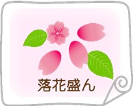 飯田市　桜　落花盛ん