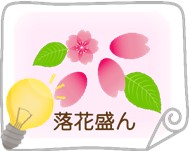 飯田市　桜　落花盛ん