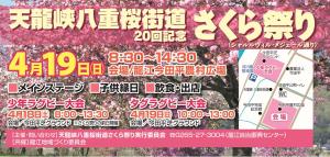 飯田市　八重桜街道桜まつり