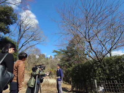 飯田市 天龍峡 桜開花宣言20260317-2