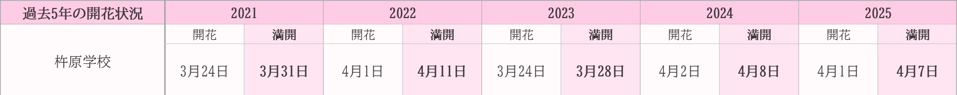 飯田市　杵原学校　桜　過去5年開花状況
