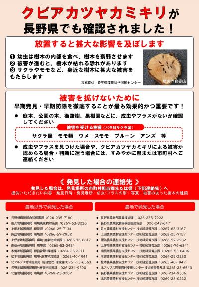 クビアカツヤカミキリ周知啓発チラシ02