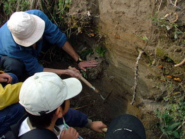 かわらんべ講座 地層の観察